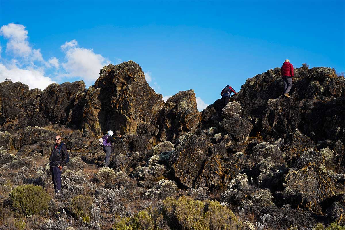 Kilimanjaro